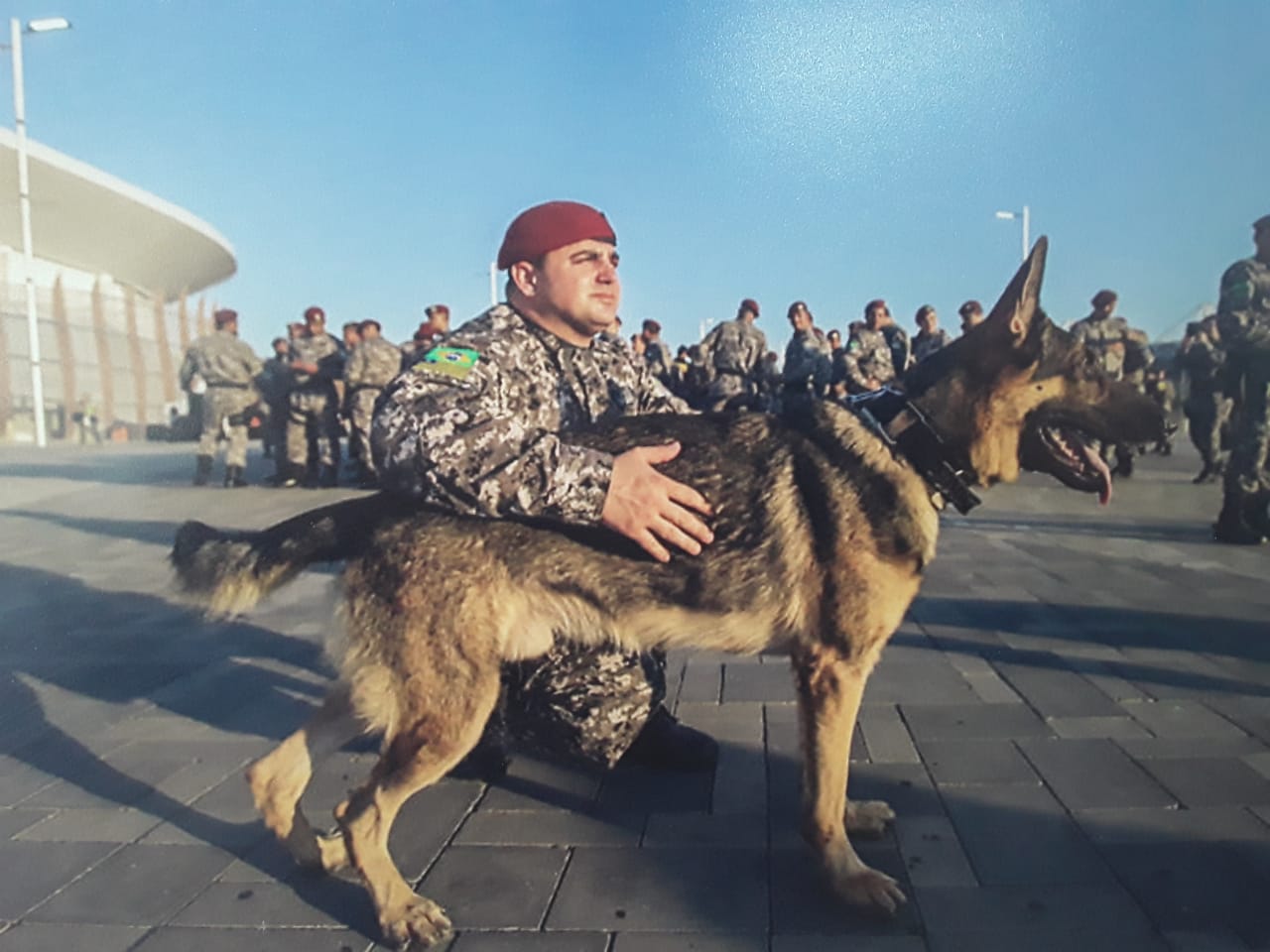 Morre K9 Fury, cão da PMPI que atuou em rebeliões e nas Olimpíadas do Rio de Janeiro