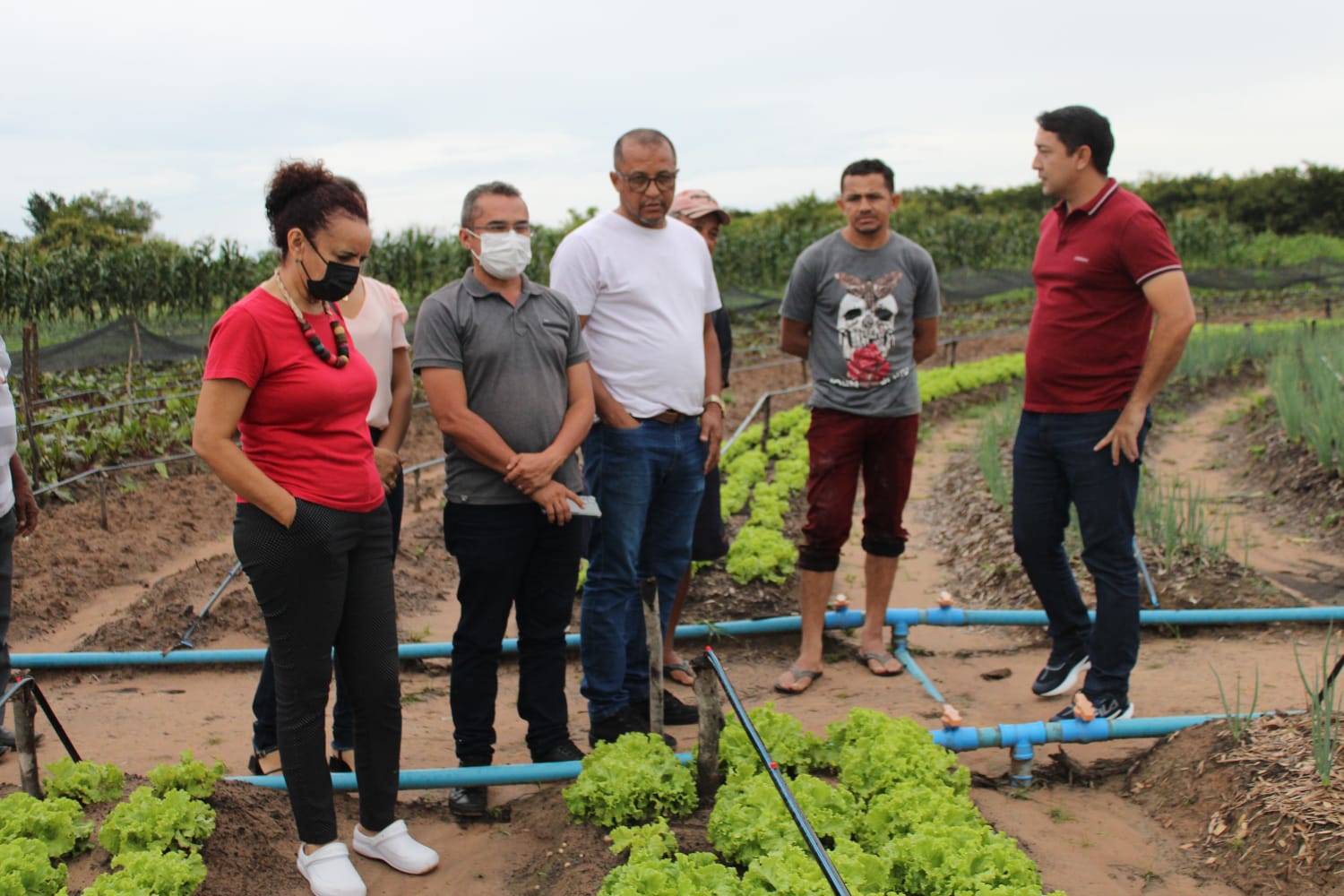 Produtores rurais de Castelo recebem visita técnica sobre o Sistema de Produção Agroecológico
