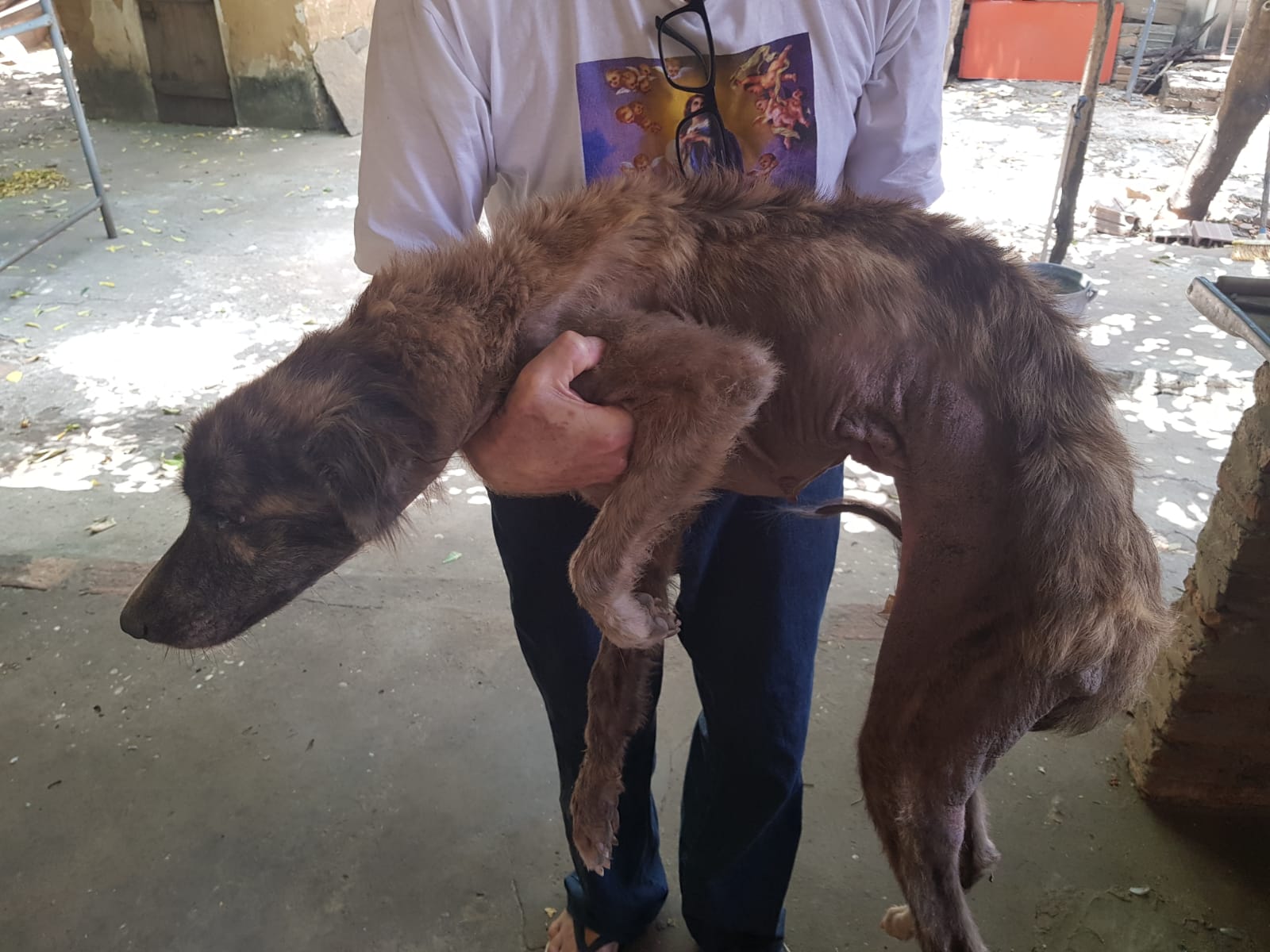 Homem é preso na zona leste de Teresina por maus tratos a oito cães