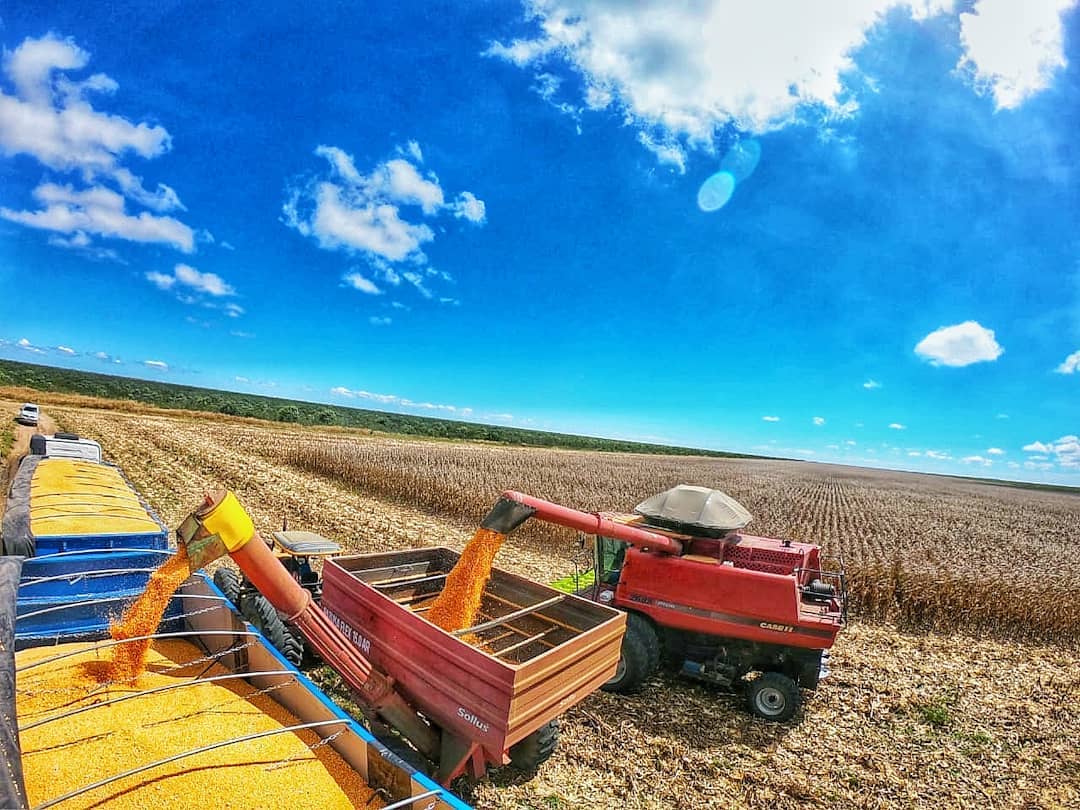 Dez cidades do Piauí na região dos Cerrados respondem por R$ 4,5 bi do valor da produção agrícola