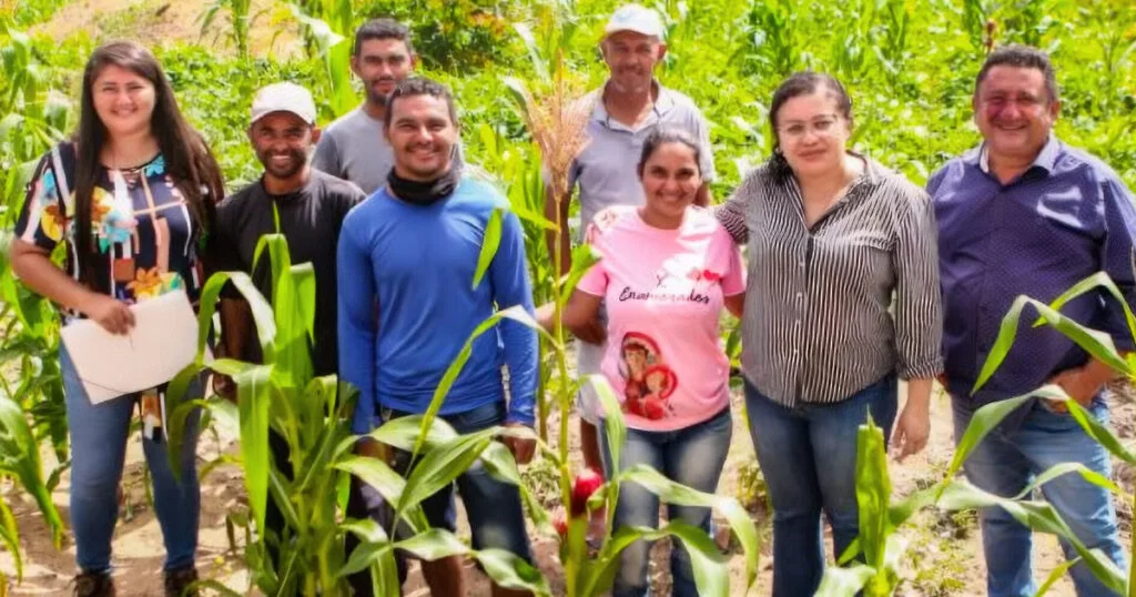 Governo do Estado do Piauí anuncia investimento na ordem de 1 bilhão de reais em agricultura familiar.